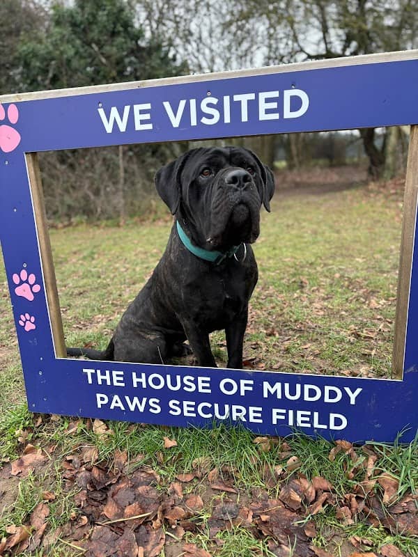 The House of Muddy Paws - Image 1