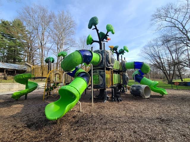 Palm Park - Image 1