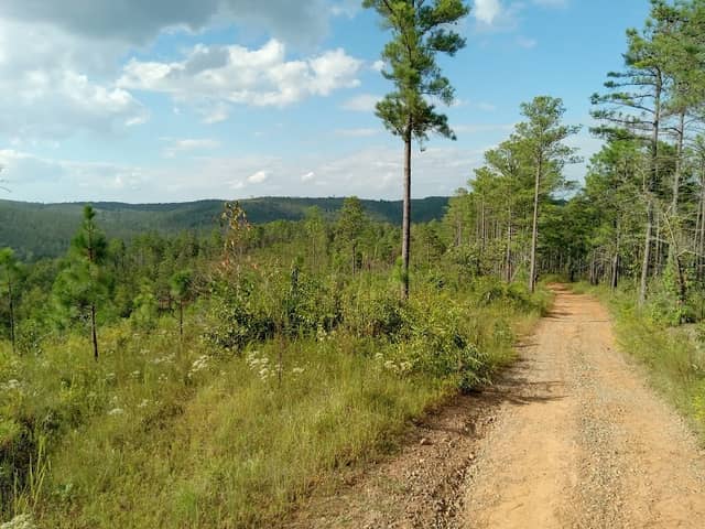 Nichols Tract - Image 1