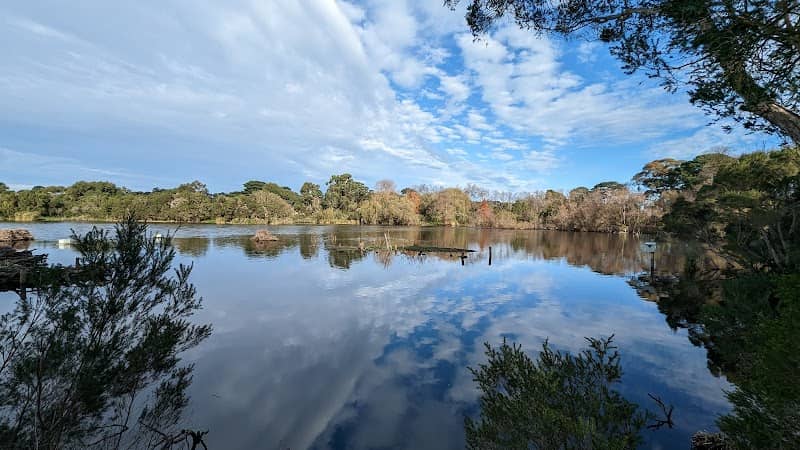 Coolart Wetlands Bird Hide - Image 1