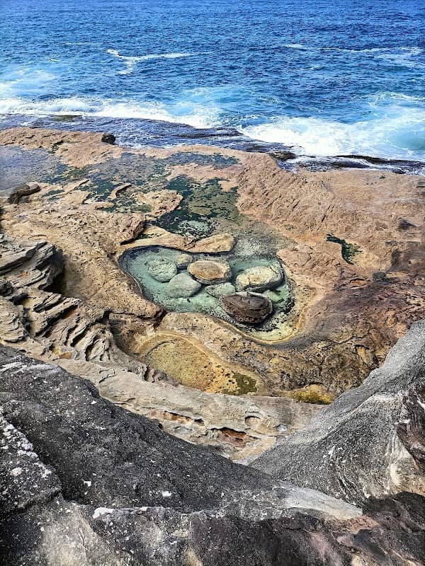 Careel Headland Reserve - Image 2
