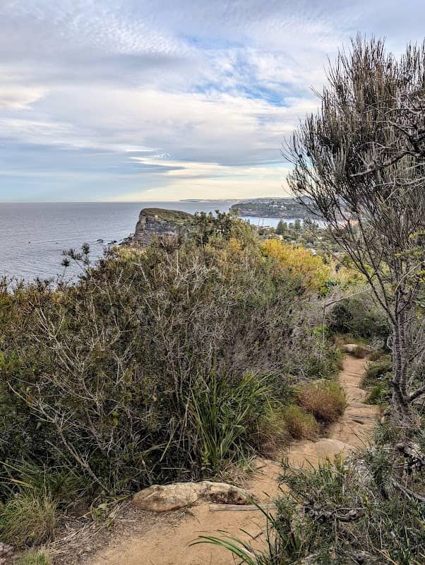 Careel Headland Reserve - Image 3