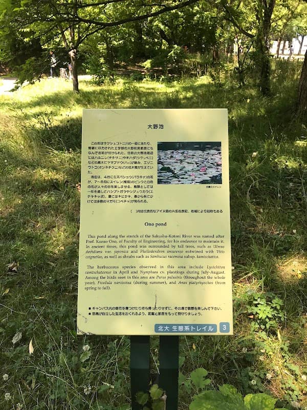 Ōno Pond - Image 2