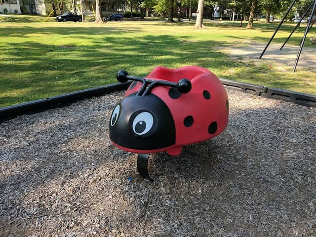 Washington Park - Image 3