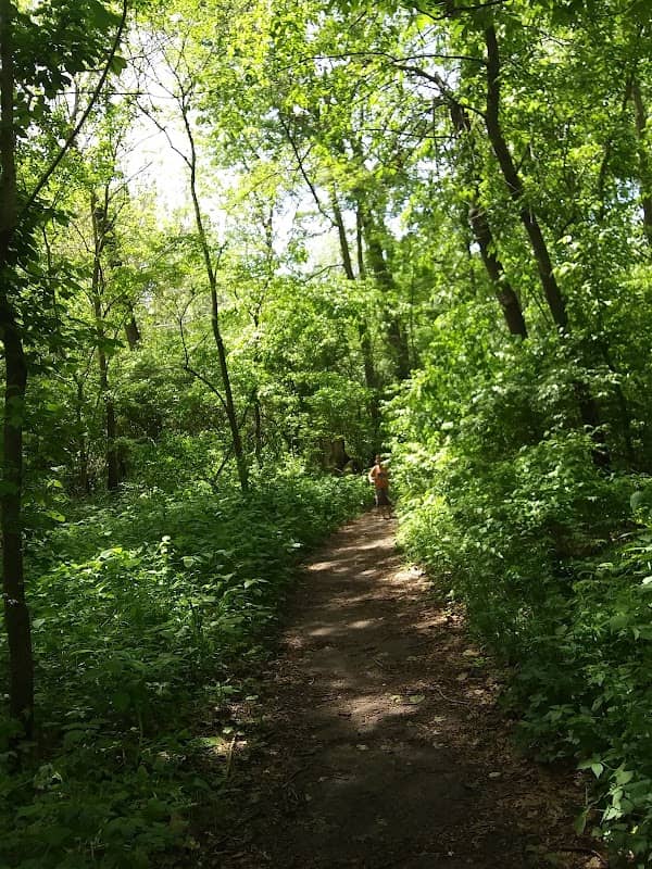 Wea Creek Park - Image 1