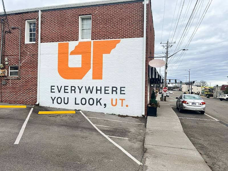 Mural - "Everywhere you look, UT." By Curtis Glover - Image 1