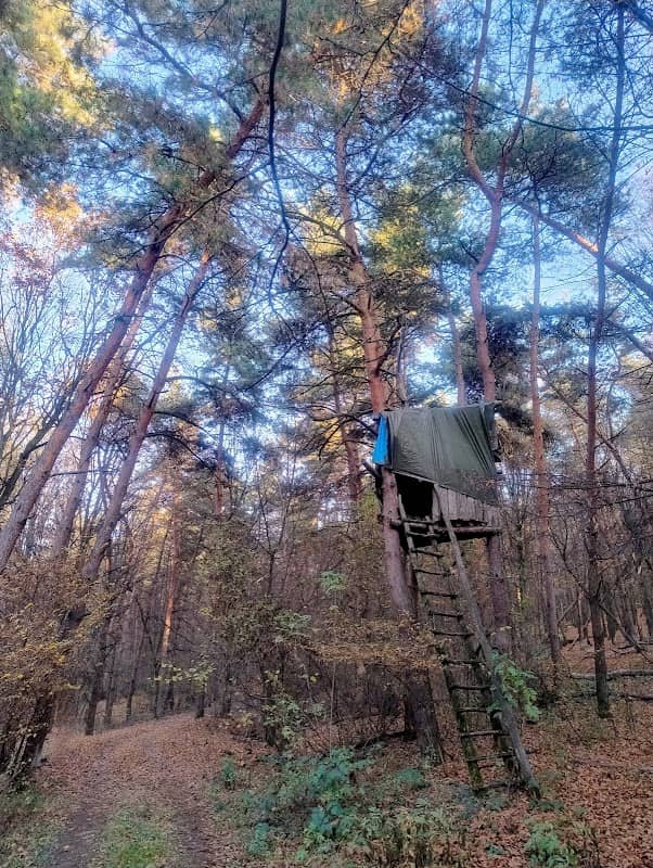 Observator - Image 1