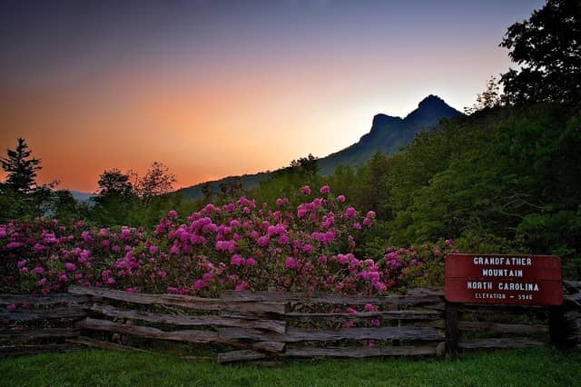 Grandfather Mountain - Image 3