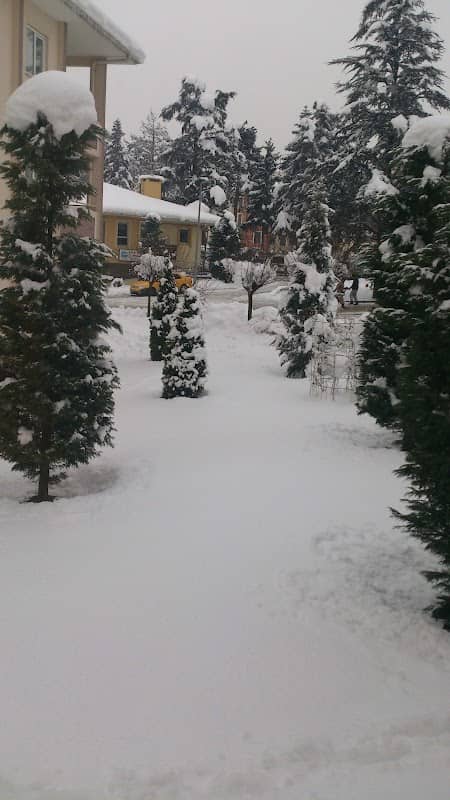 Park - Image 2