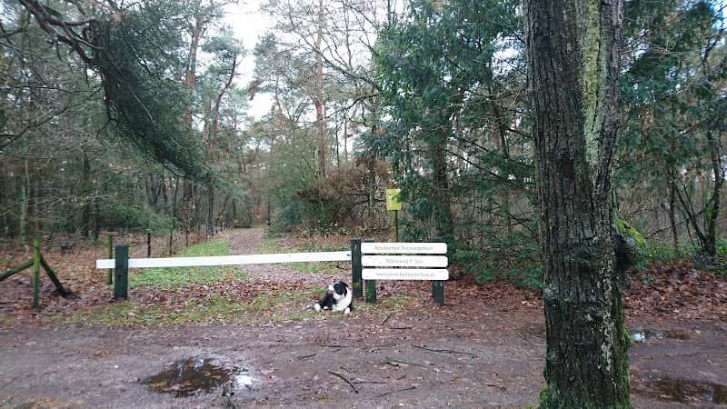 Biltseweg - Image 2