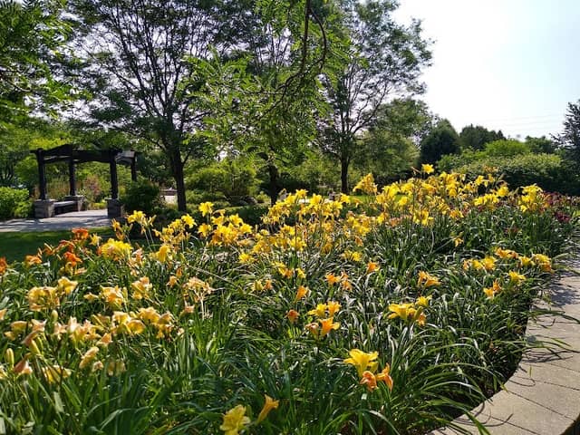 Congdon Park - Image 1