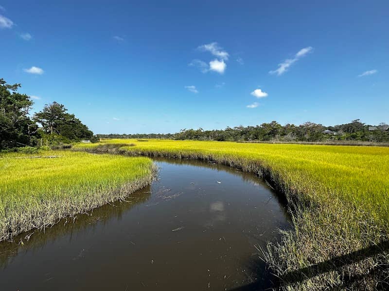 Scenic Walkway - Image 1