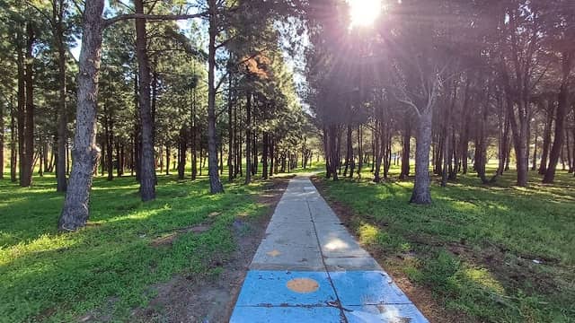 Peace Park - Image 1