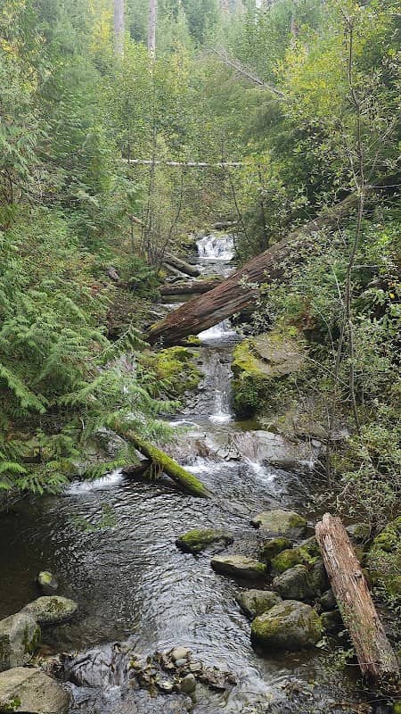 Gatton Creek Falls - Image 2
