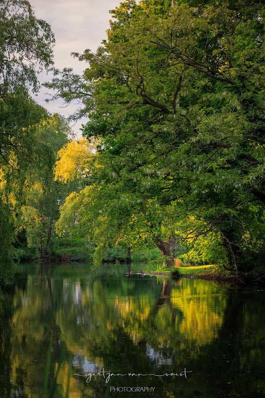 Rembrandt Park - Image 1