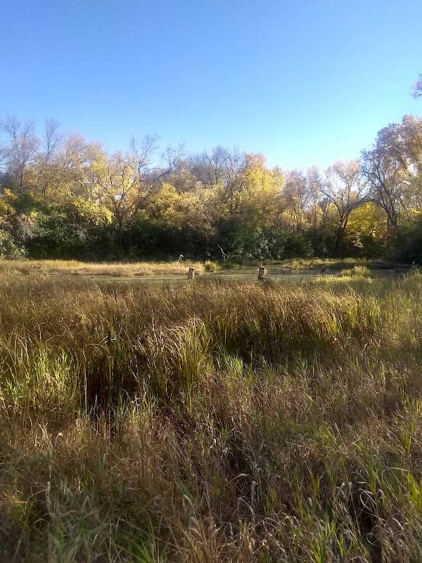 Wayzata Sunset Hill Nature Center - Image 2