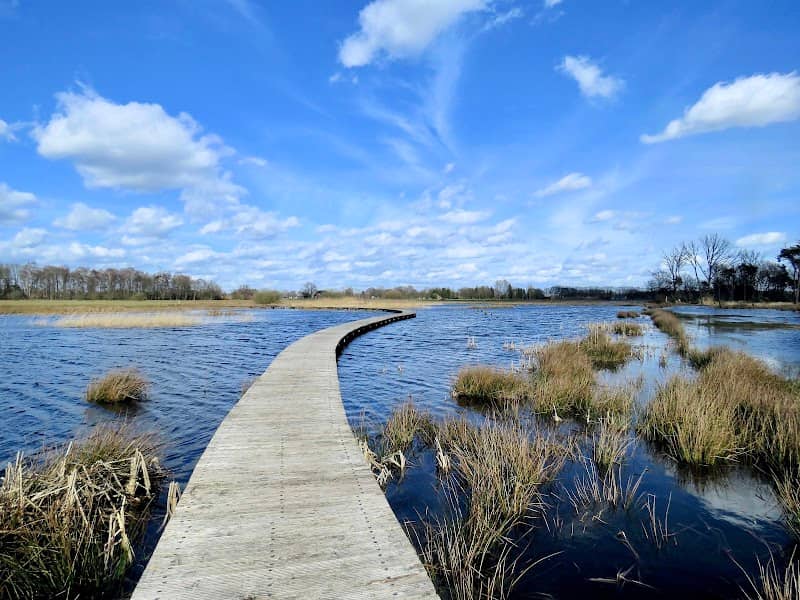 Empese en Tondense heide - Image 1