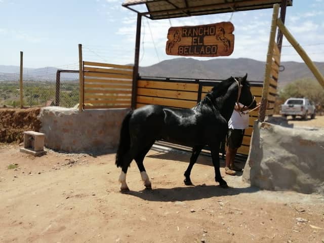 Rancho El Bellaco - Image 1