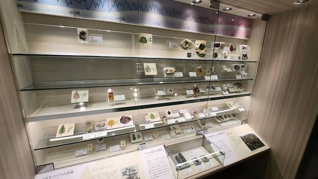 琵琶湖博物館企画展示室 - Image 2