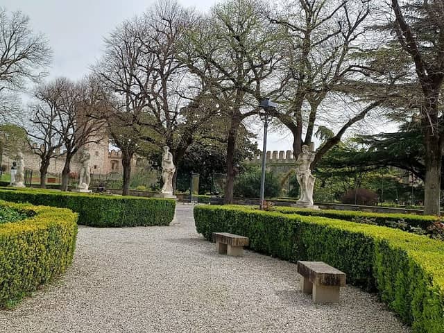 Public Park - Image 2