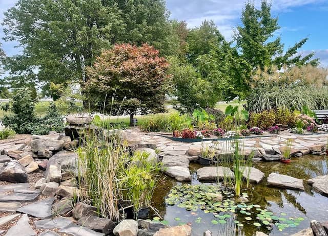 SWIMGA Display Garden - Image 2