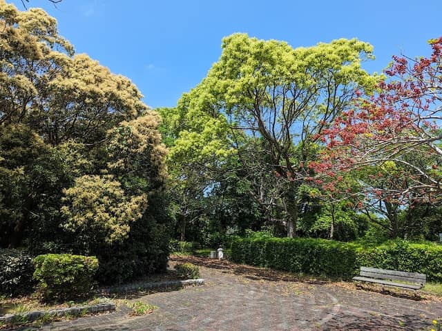 Koryodai Central Park - Image 1