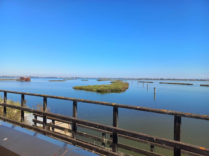 Comacchio Valleys - Image 1