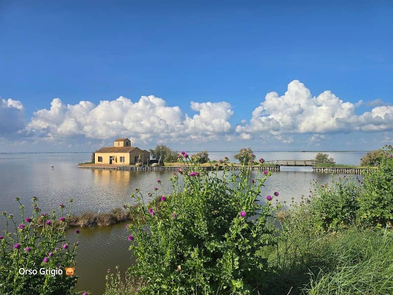 Comacchio Valleys - Image 2
