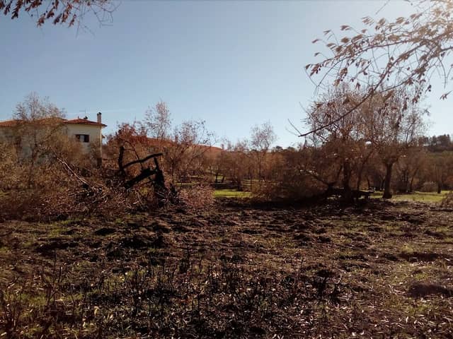 CAEVS - Campo de Atividades Escutistas do Vale Sancho - Image 3