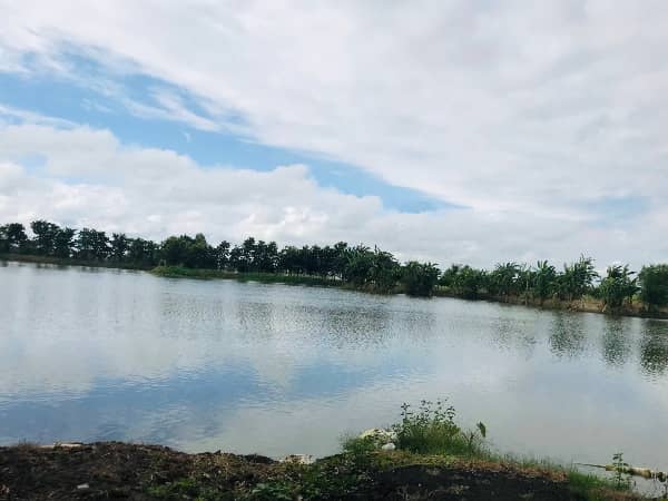 Manmohan Park - Image 1