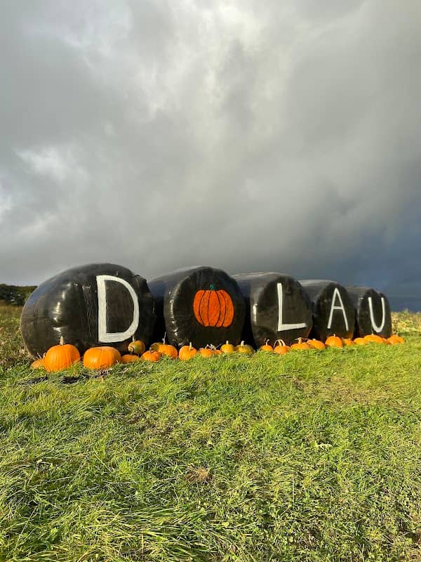 The Bridgend Pumpkin Patch - Image 2