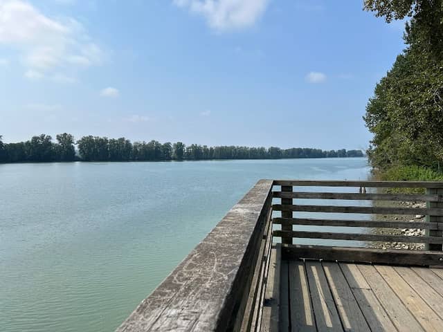 Shoreline River Viewing Deck - Image 1