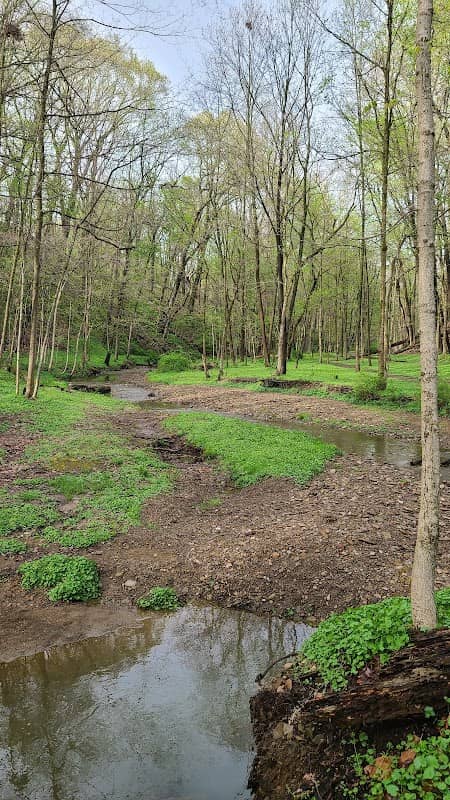 Millersburg Amphitheater - Image 1