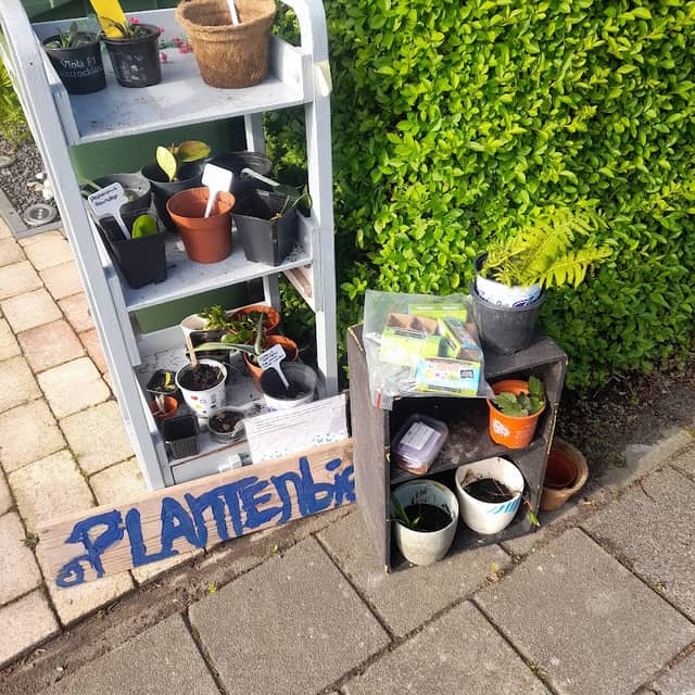 Plantenbieb Enkhuizen - Image 2