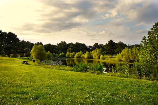 Fox Ridge Nature Park - Image 2