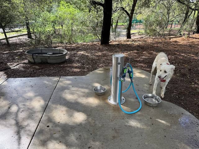 Villa Chanticleer Dog Park - Image 1