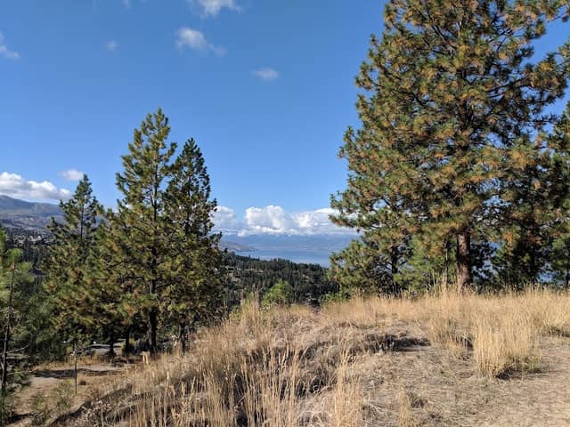 Mission Ridge Park - Image 1