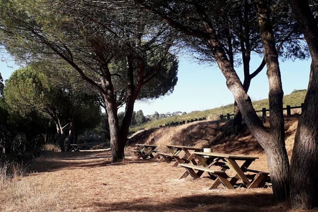 Parque de Merendas da Serra do Socorrro - Image 1