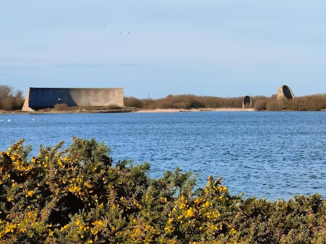 Sound Mirrors - Image 3