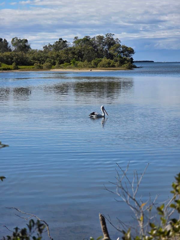 Reedy Creek Park - Image 1
