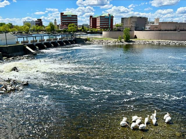 Island Park - Image 2