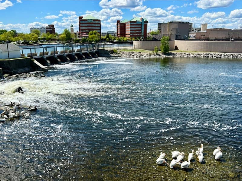 Island Park - Image 2