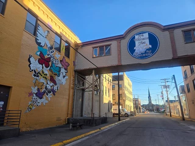 Flock of Butterflies Mural - Image 1