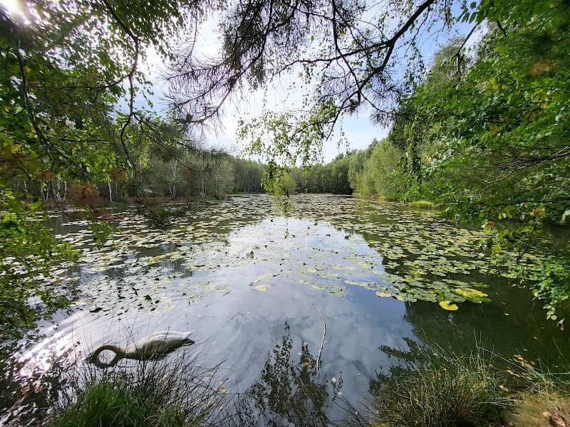 Vitriolteich - Image 1