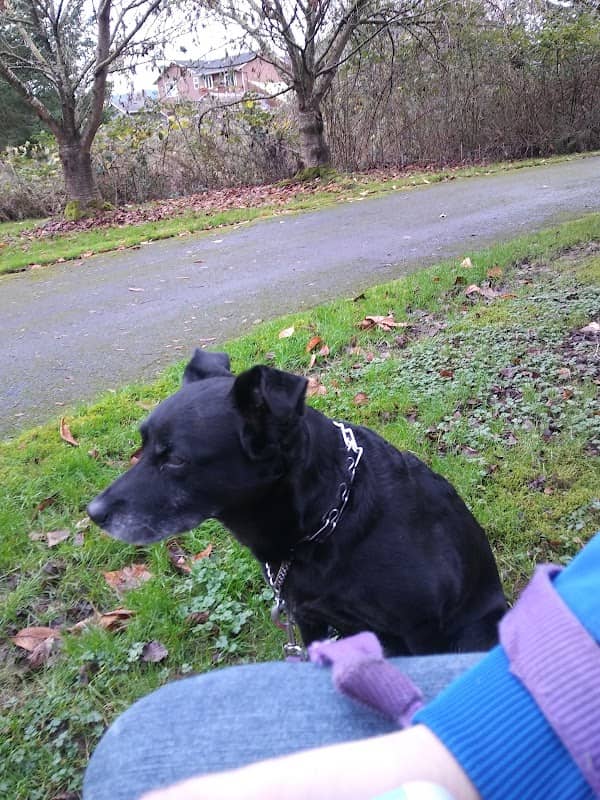 Cedar Grove Park - Image 1