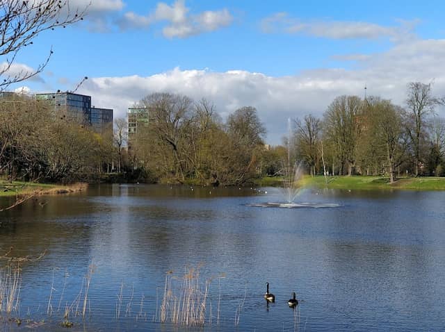 Wilhelminapark, Breda - Image 1