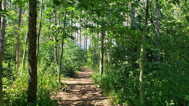 Orono Crown Lands - Image 2