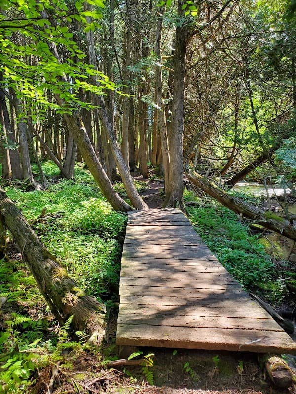 Orono Crown Lands - Image 1