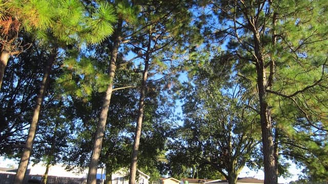 Zeringue Park - Image 1