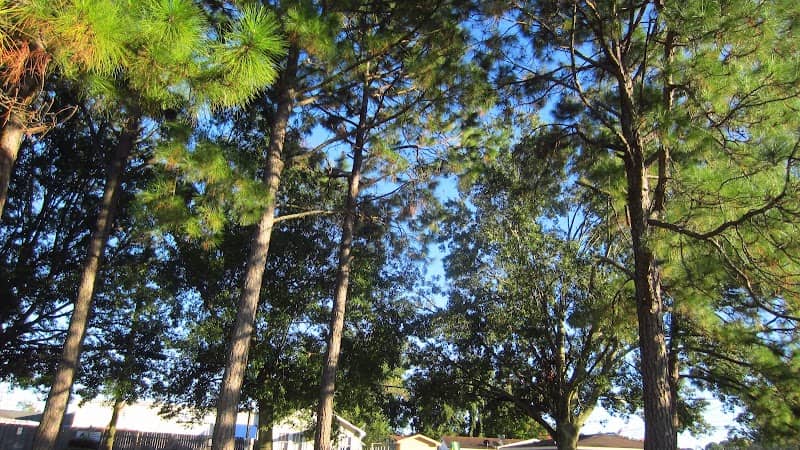 Zeringue Park - Image 1